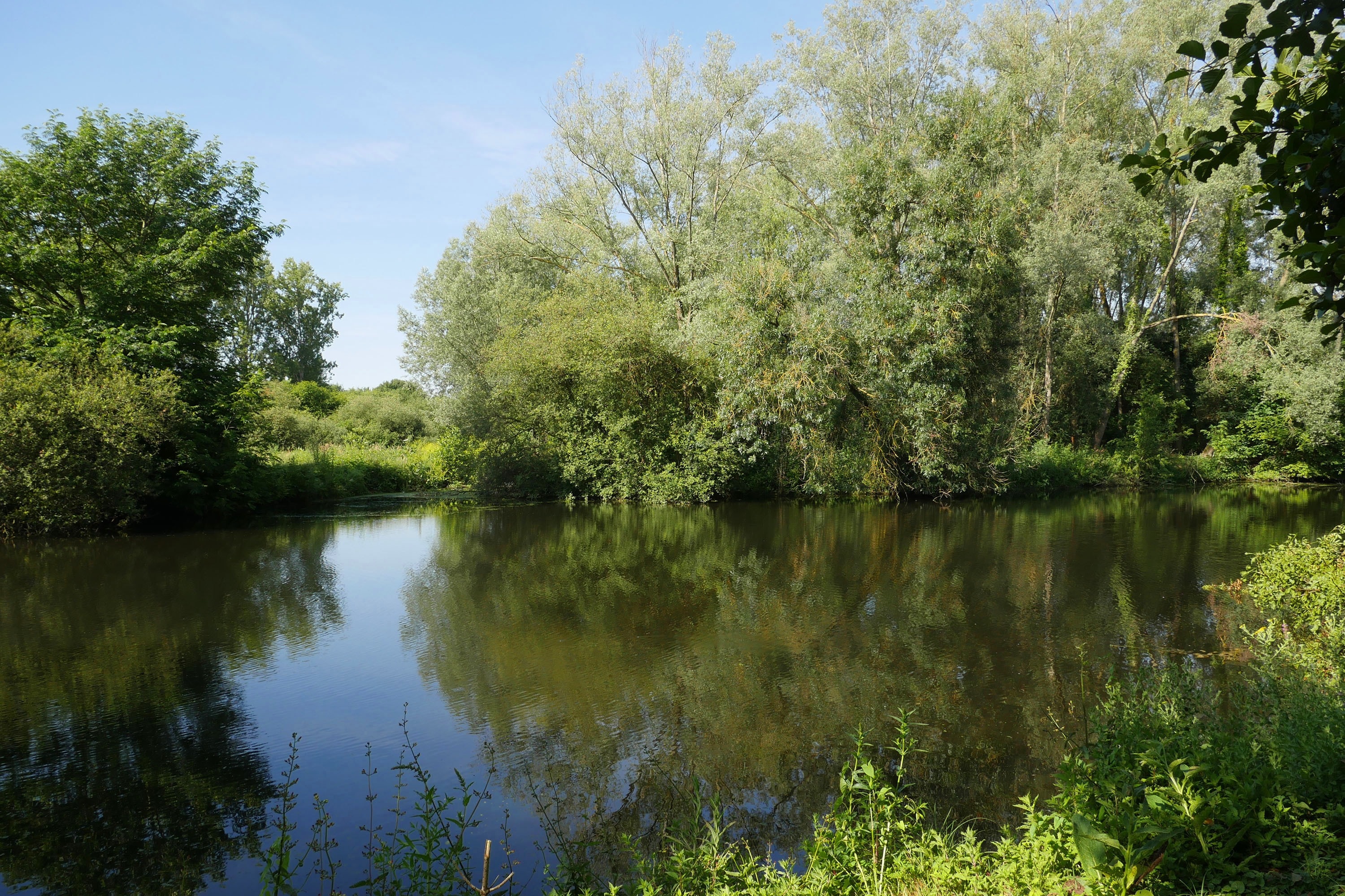 Camping des Cygnes