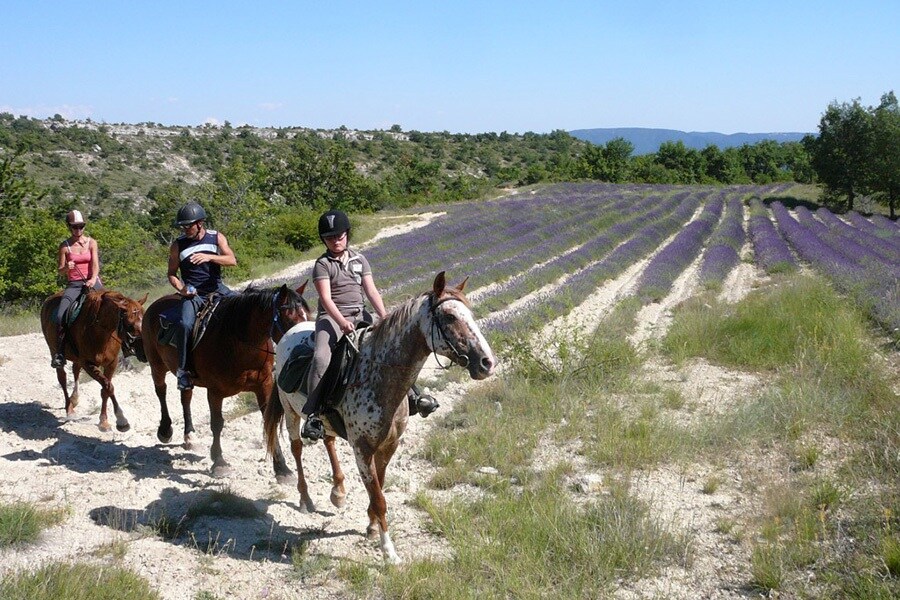 Flower Camping La Rivière