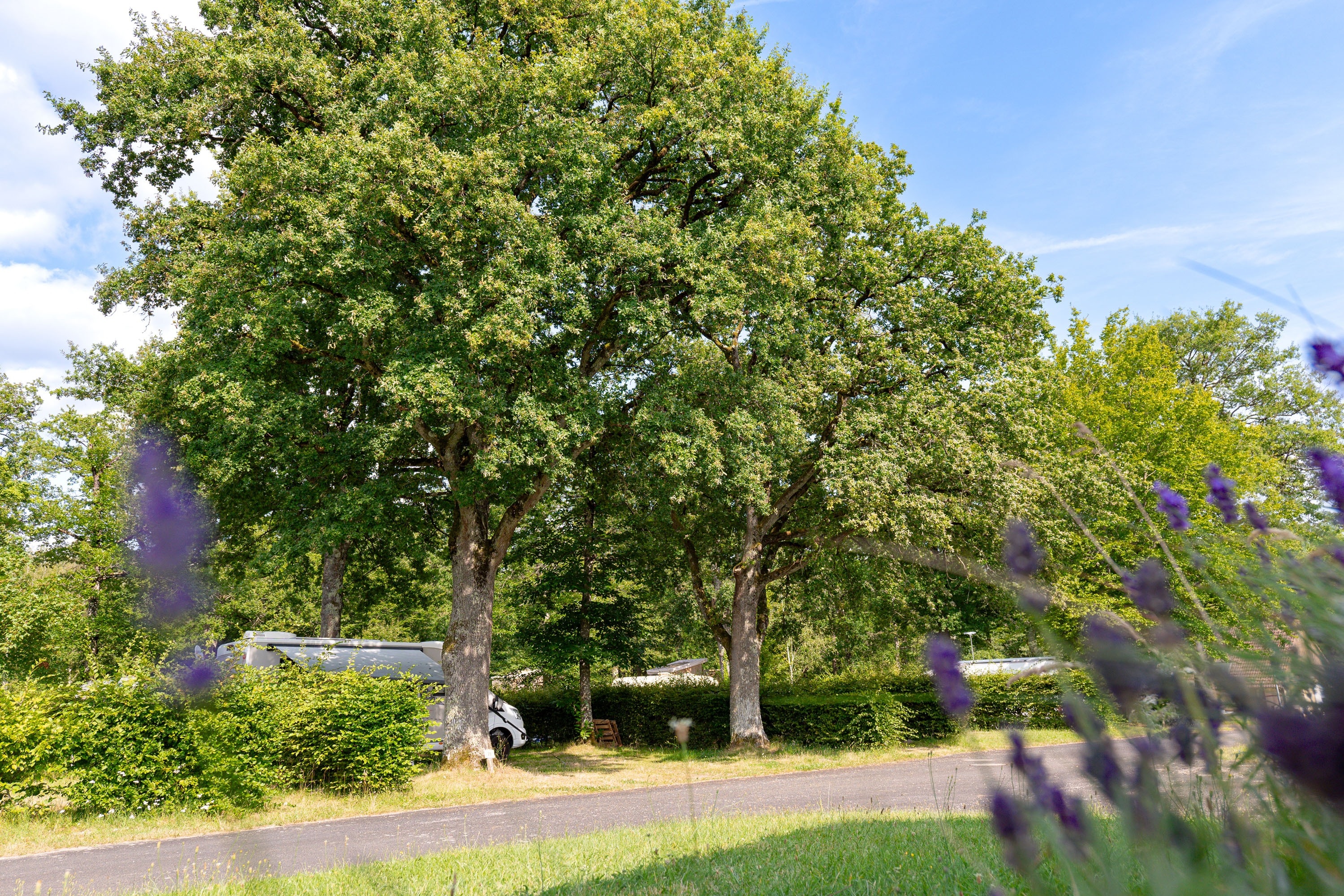 Camping La Varenne Onlycamp