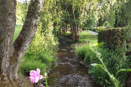 Camping Sensweiler Mühle-Naturlich Camping