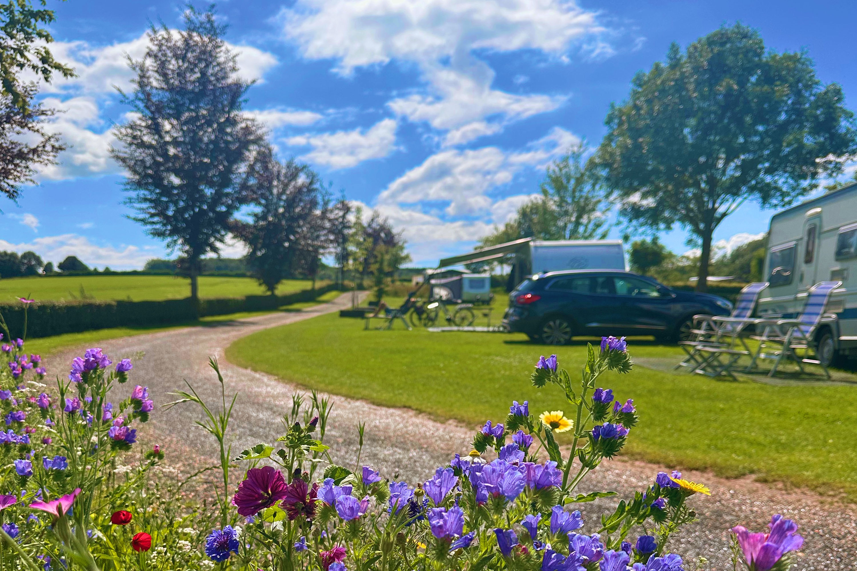 Landschapscamping Alleleijn