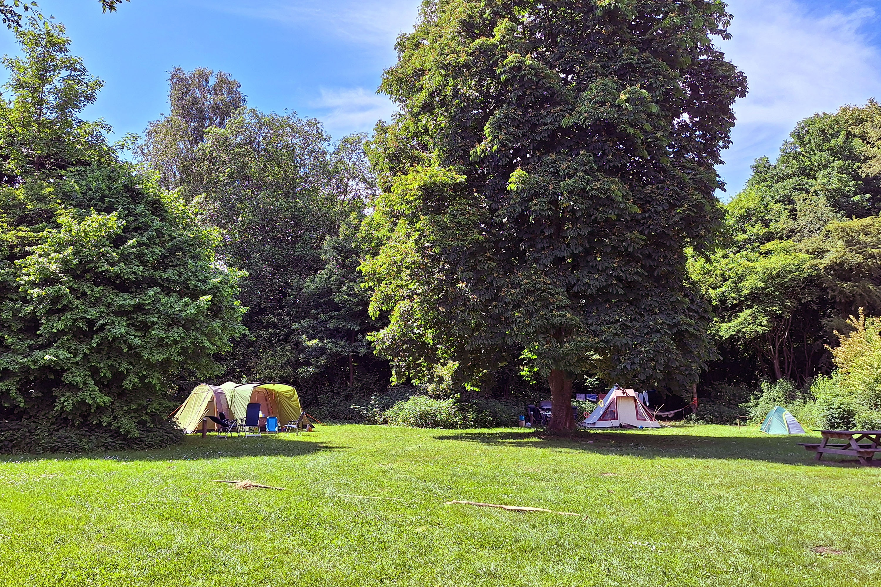 Natuurkampeerterrein Dasselaar