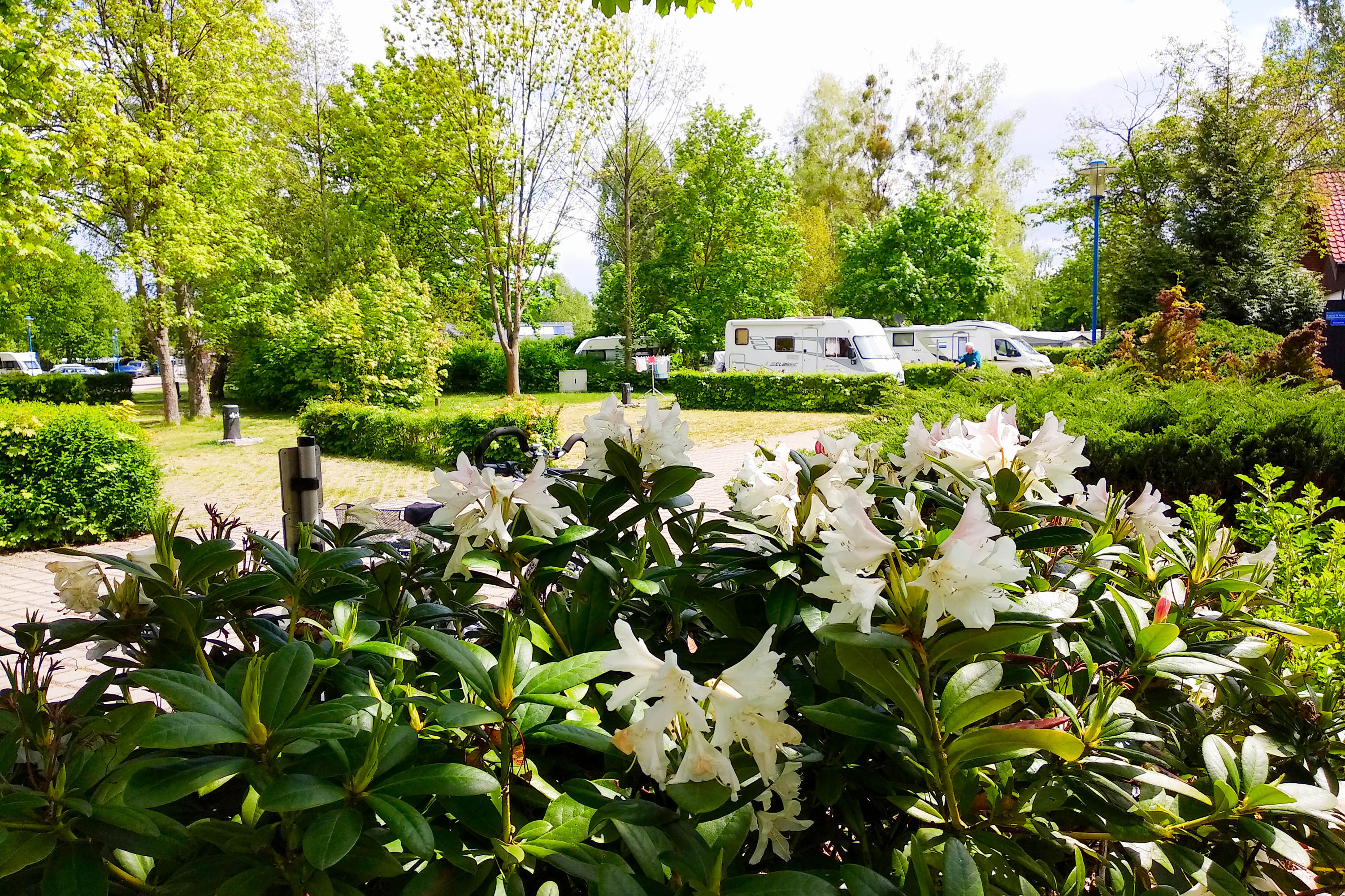 Komfortcamping Senftenberger See