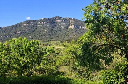 Camping Montsant Park