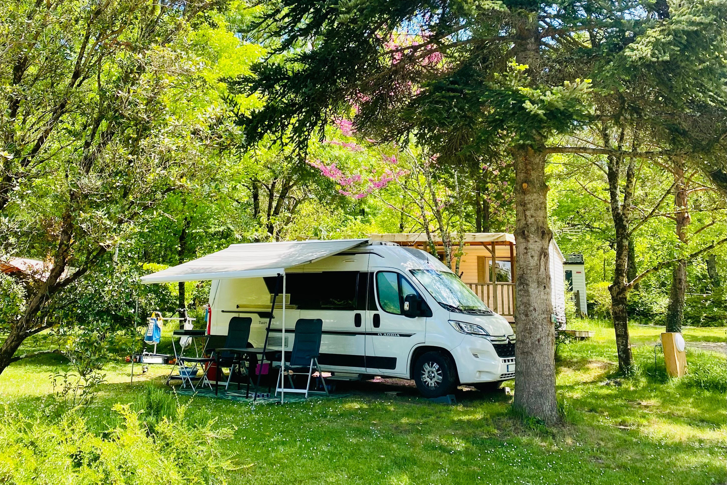 Flower Camping La Pibola