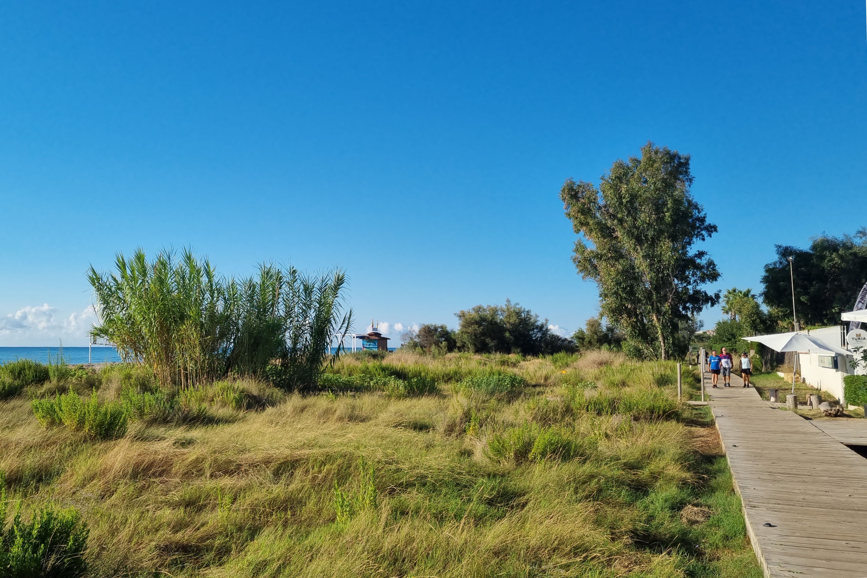 Camping Torre La Sal