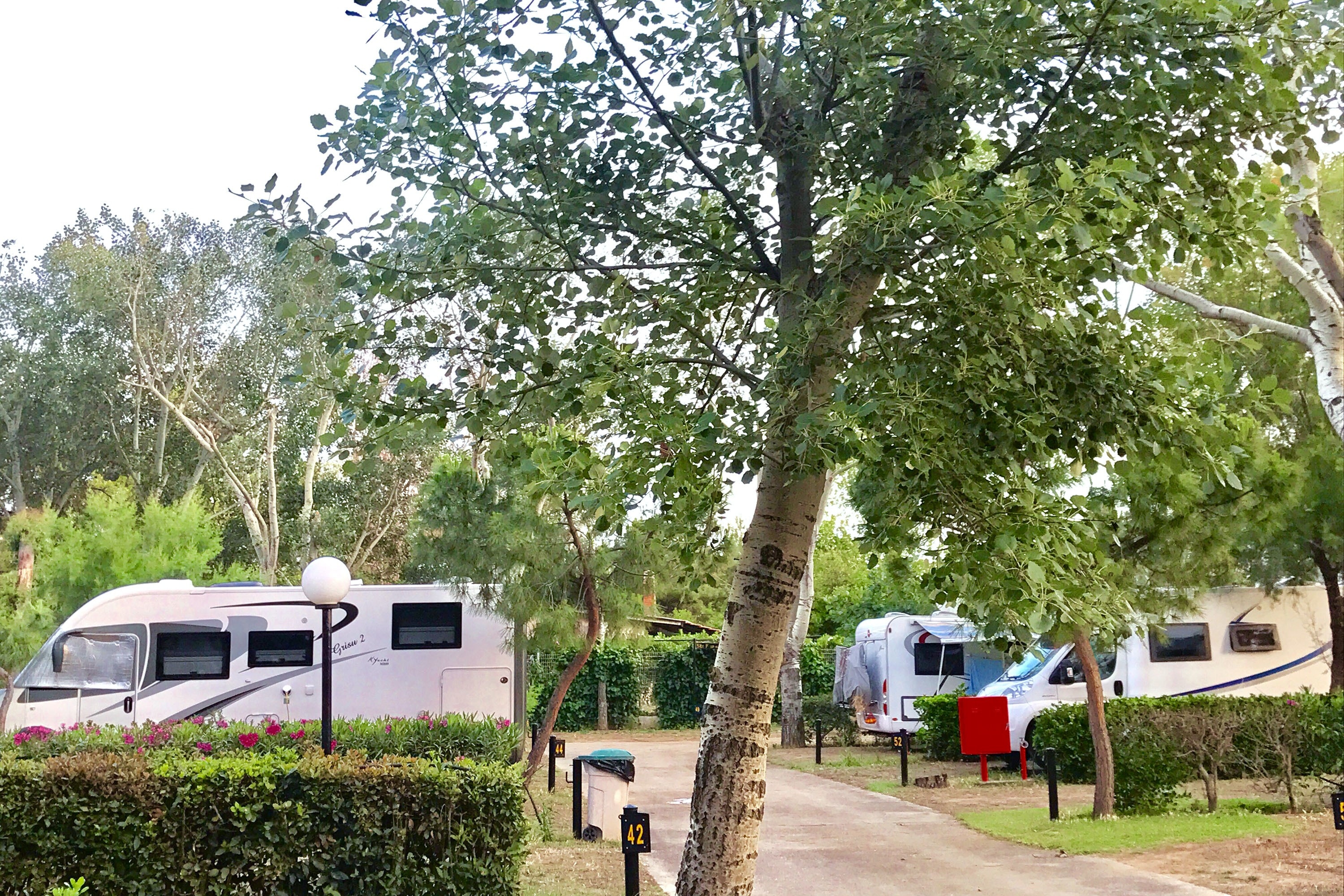 Oèlia Camping & Bungalows