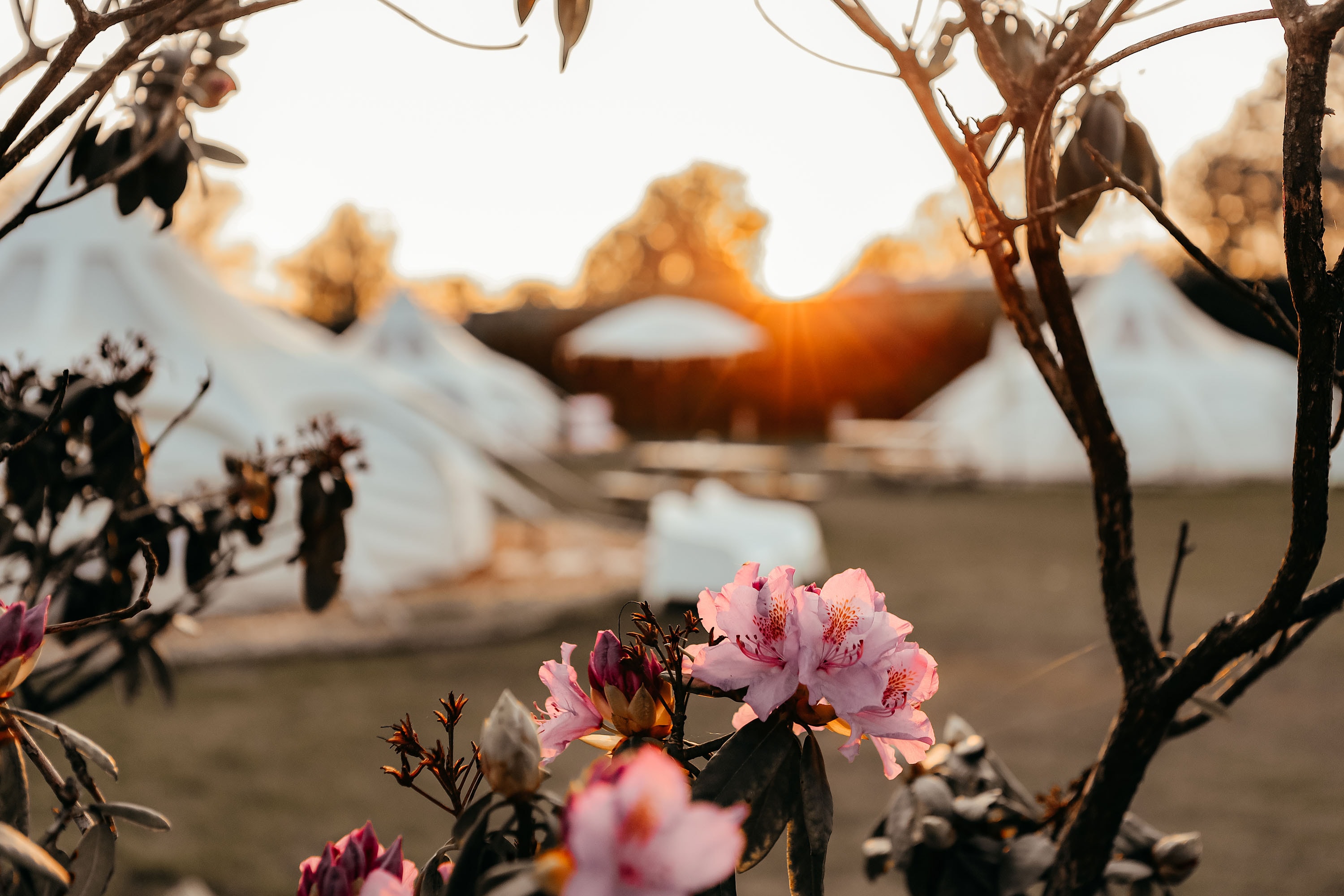 Recreatiepark De Achterste Hoef