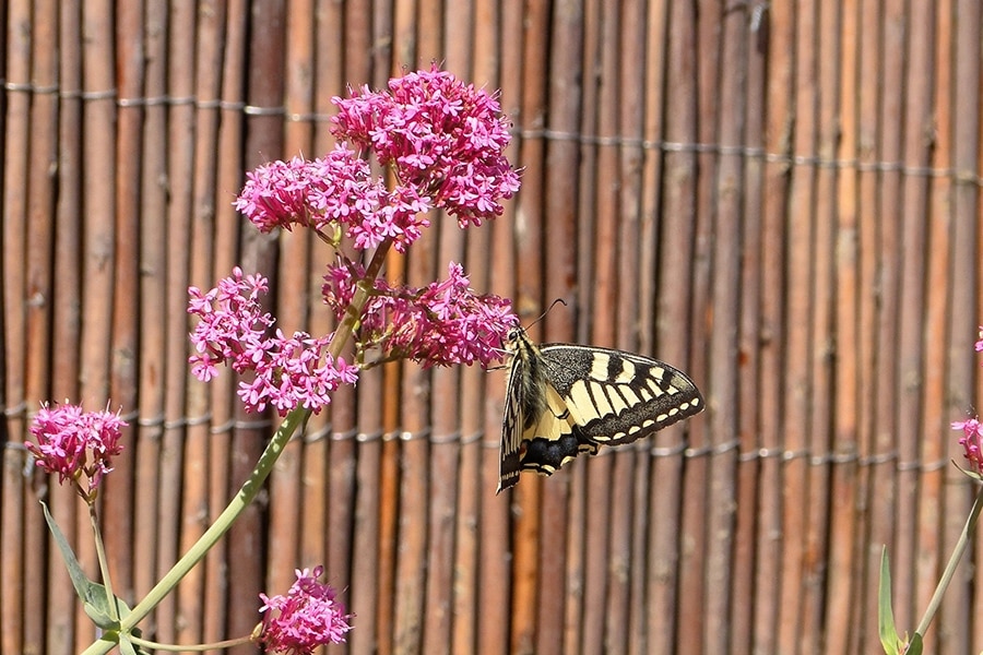 Flower Camping Les Rives de l'Aygues