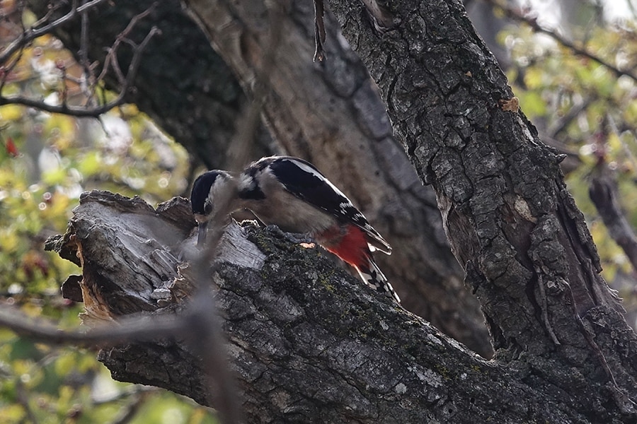 Flower Camping Les Rives de l'Aygues