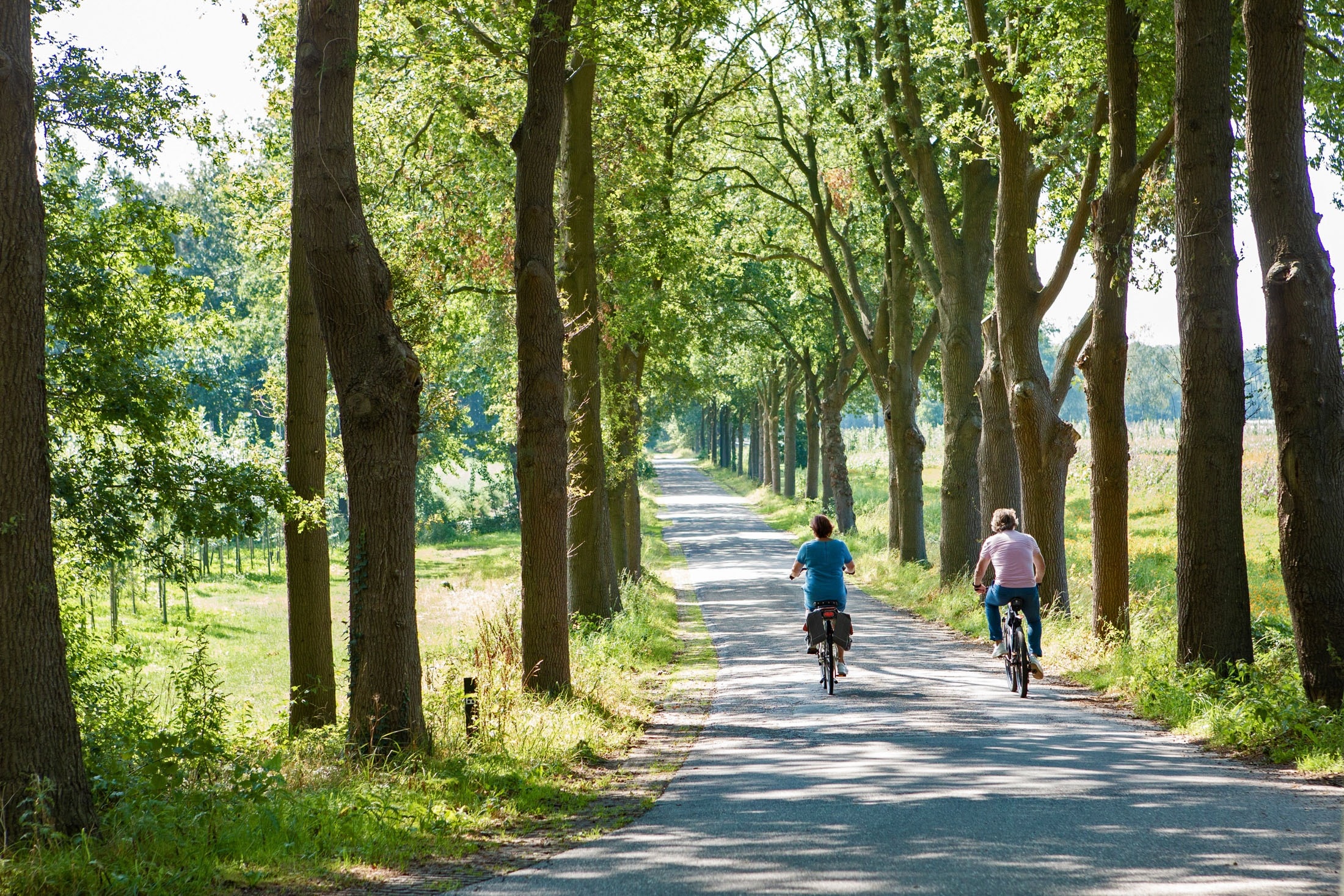 Vakantiepark Molenvelden