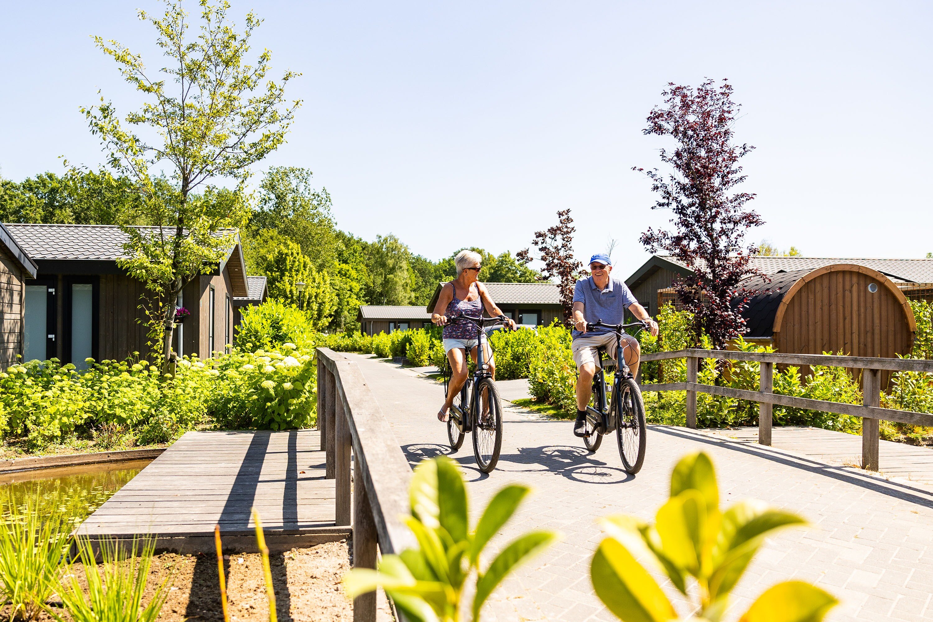 Vakantiepark Molenvelden
