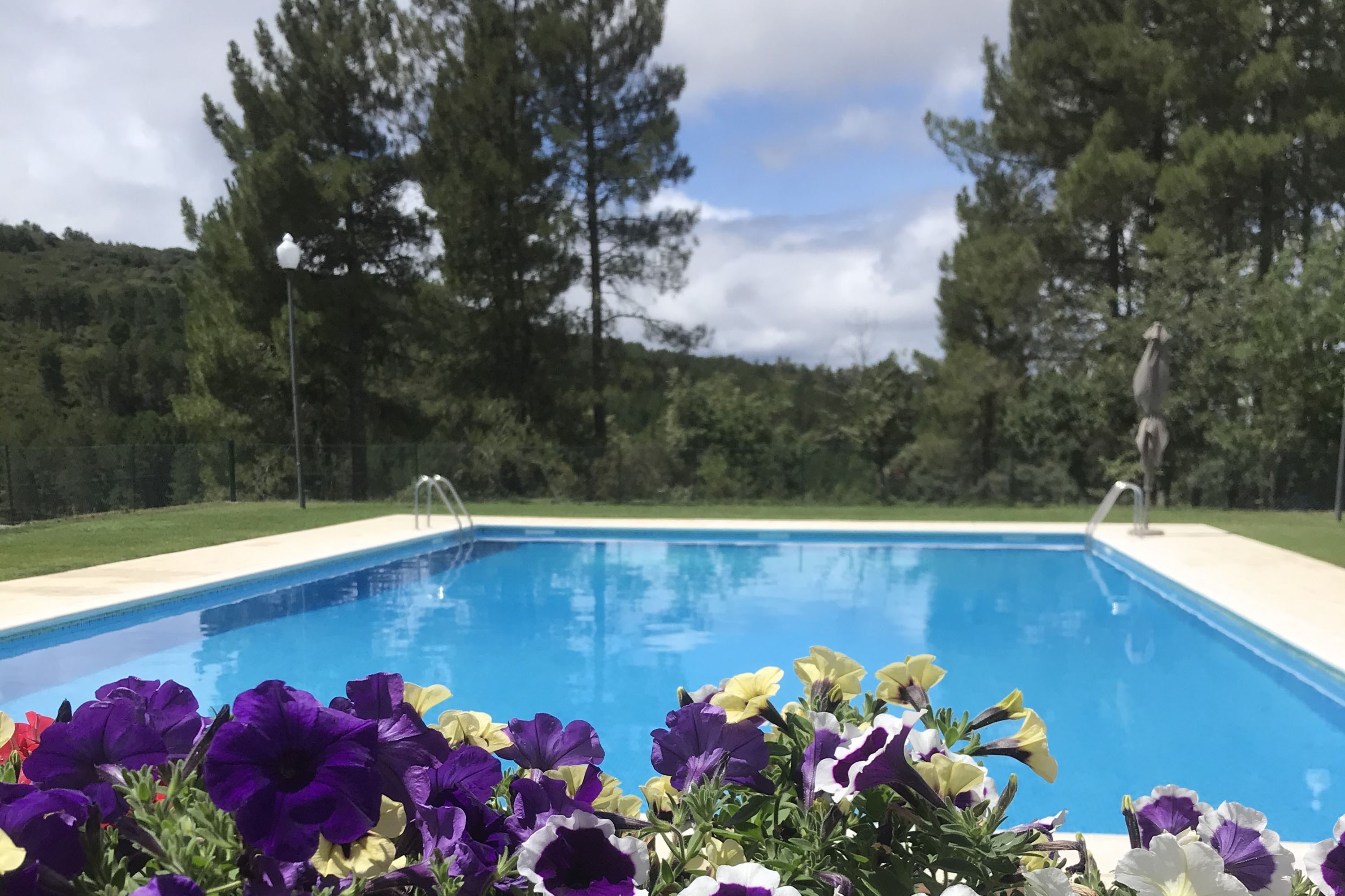 Cepo Verde