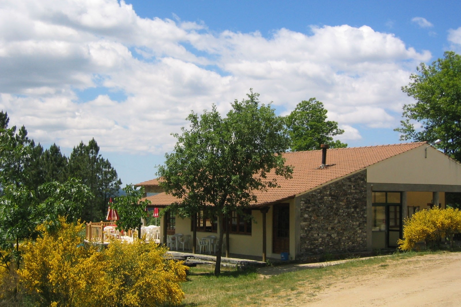 Cepo Verde