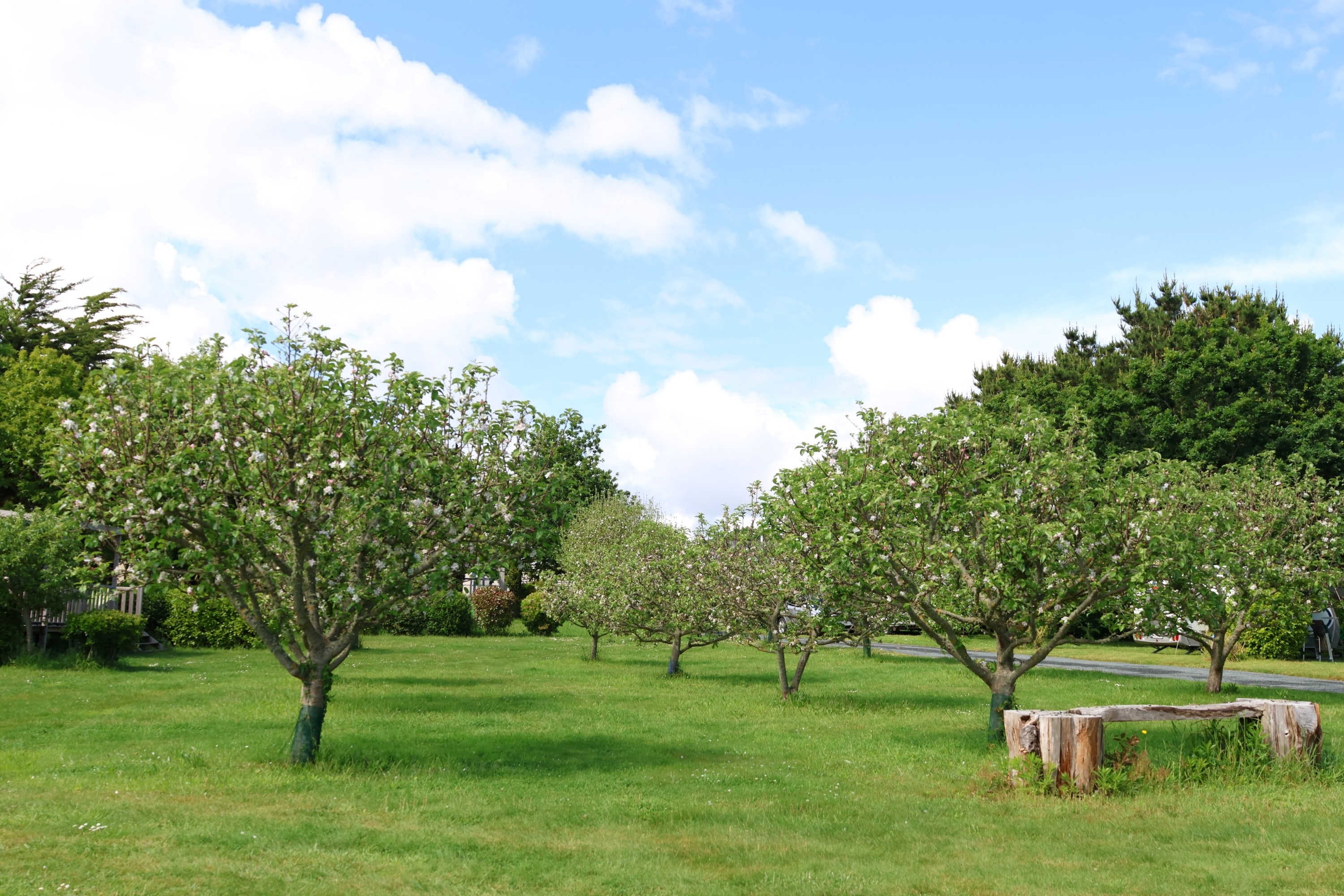 Camping Les Vergers de Squividan