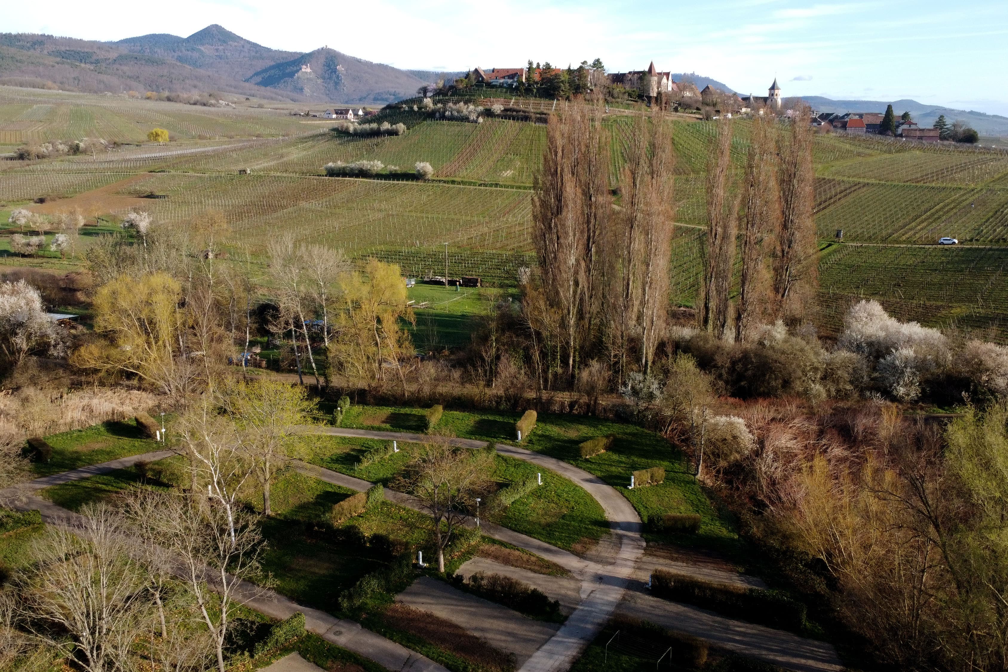 Camping de Riquewihr