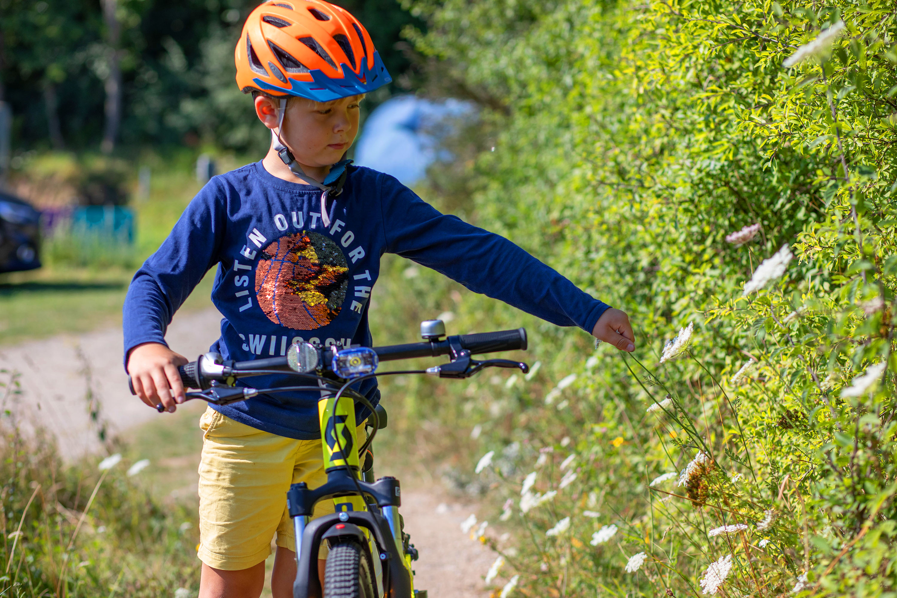 Blushøj Camping - Ebeltoft