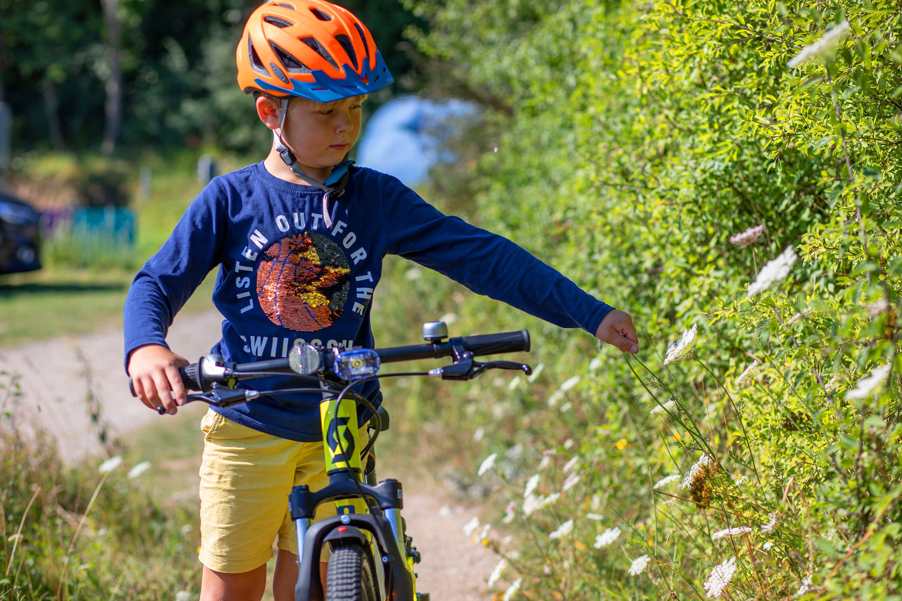 Blushøj Camping - Ebeltoft