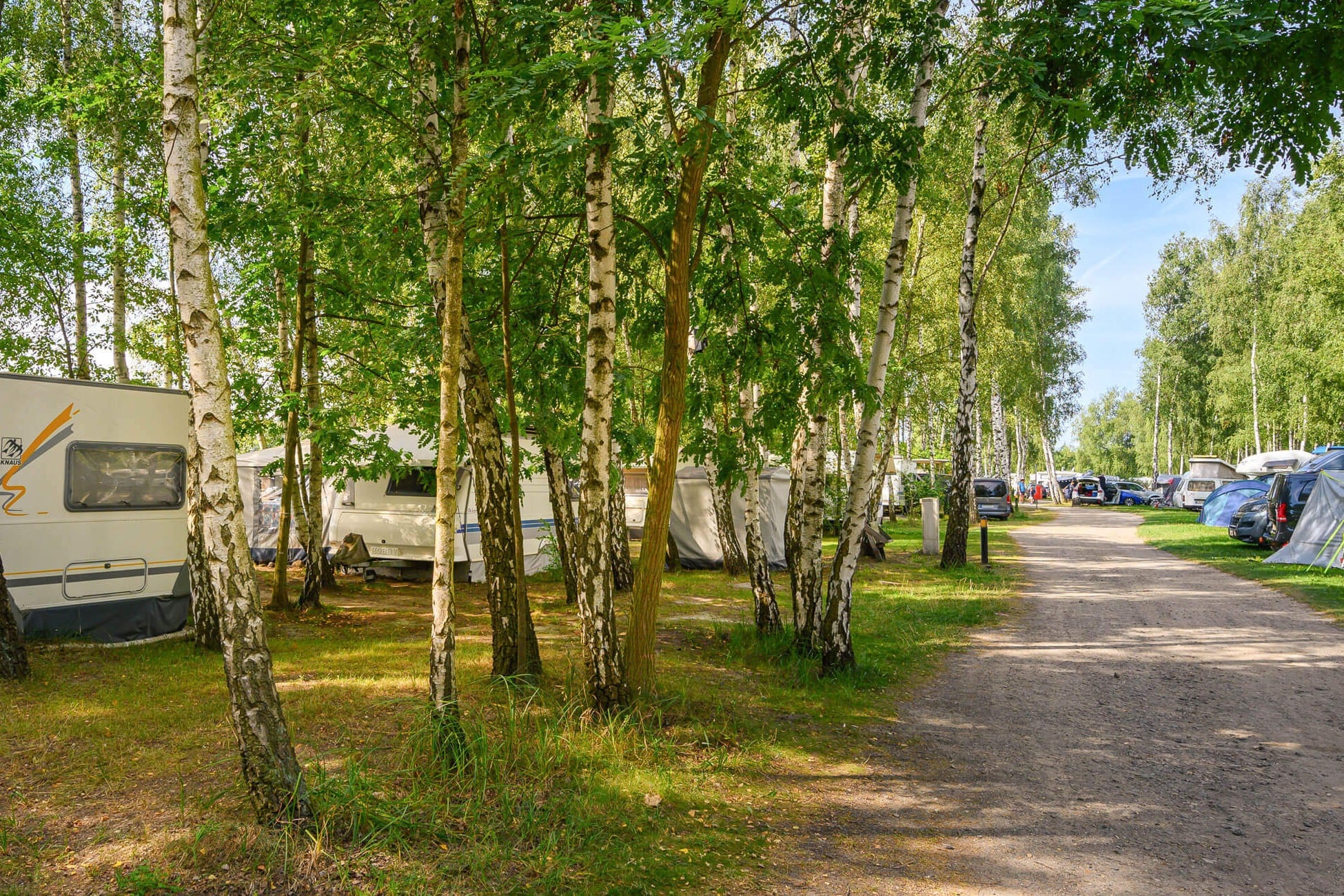 Bergwitzsee Resort