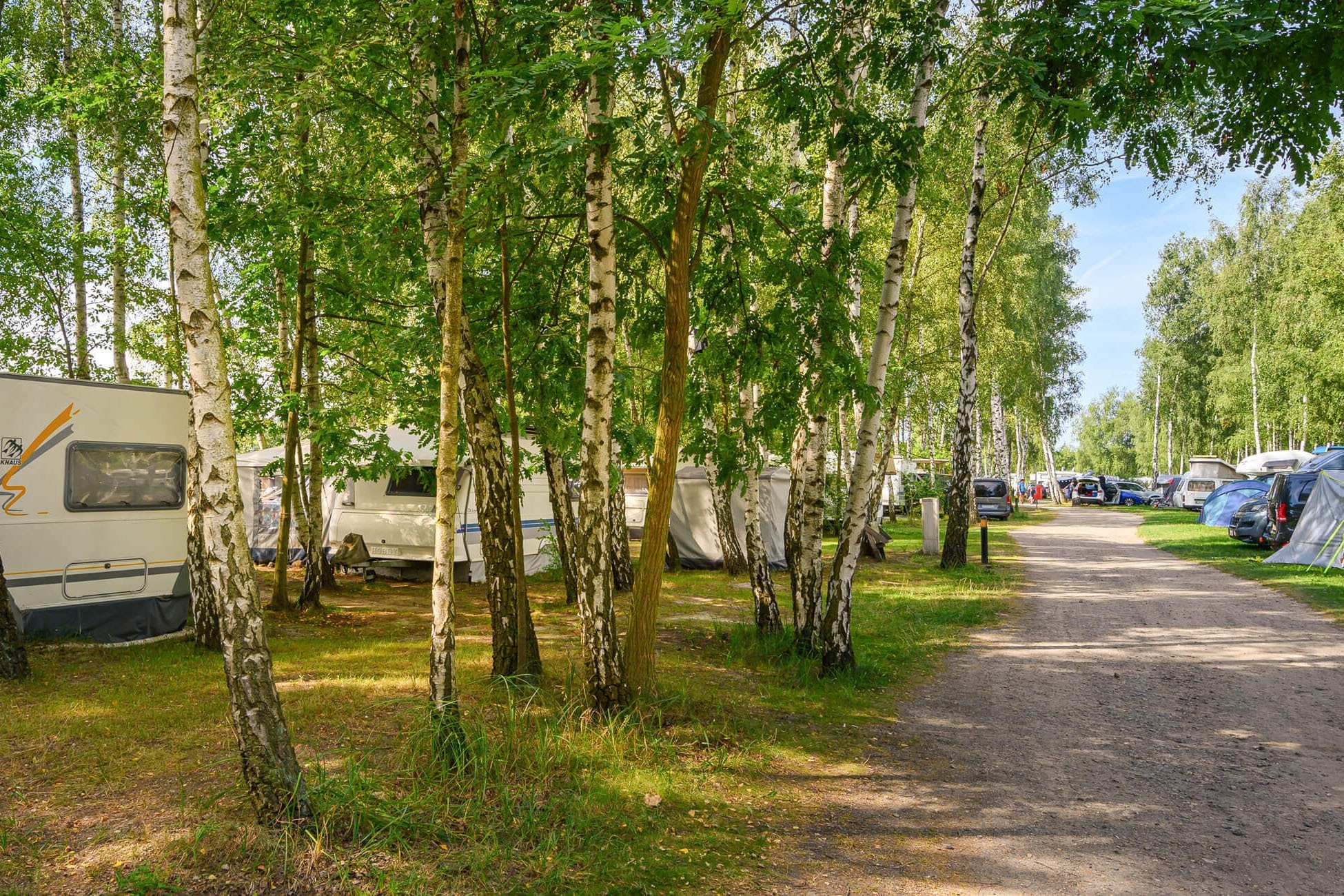 Bergwitzsee Resort