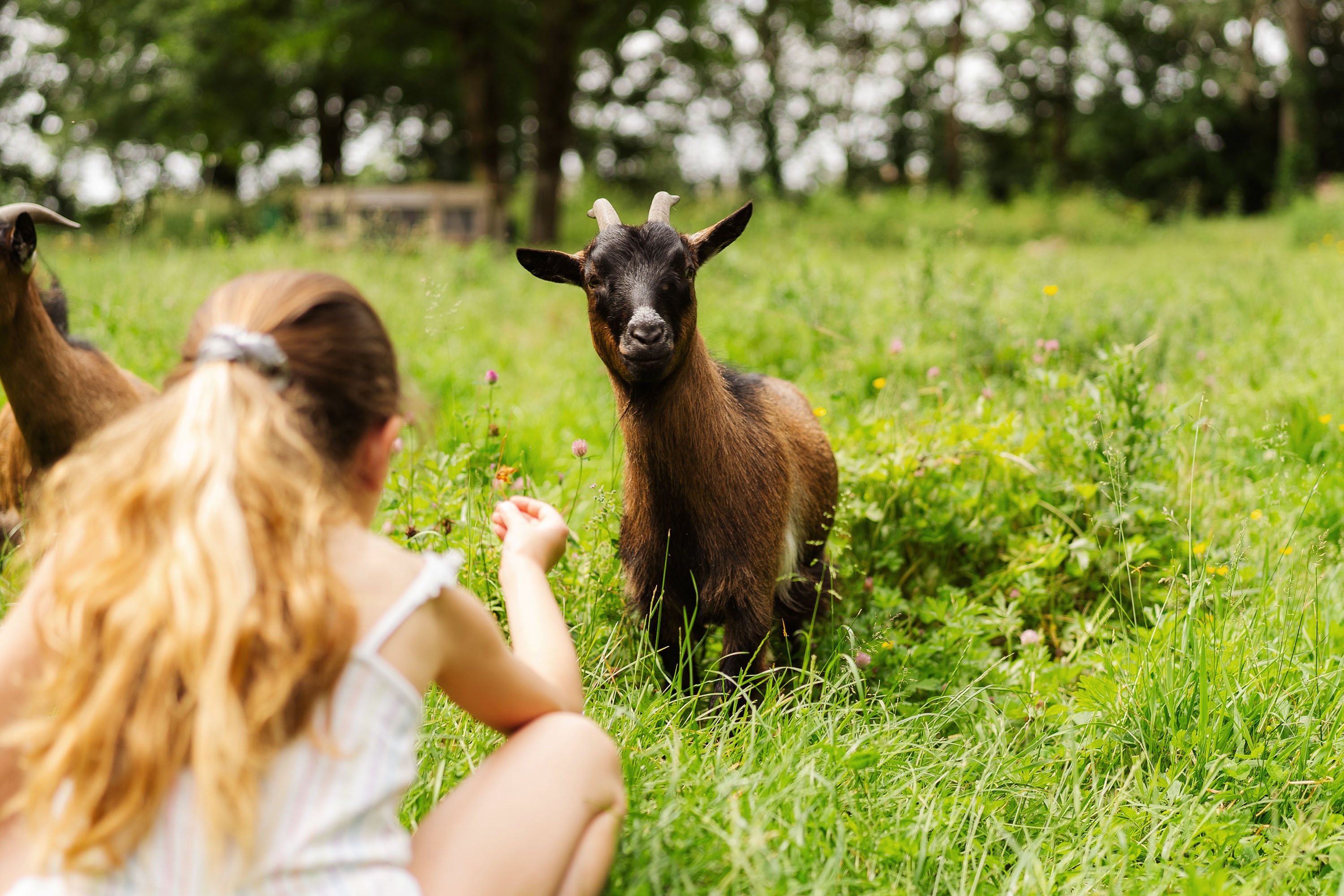 Camping Sunêlia Etang de Sologne