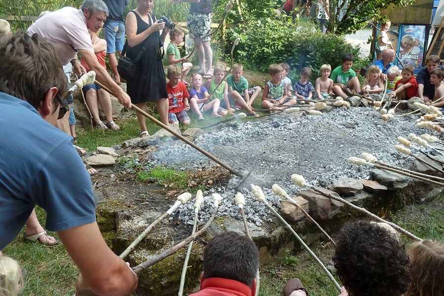 Camping Moulin de Chaules