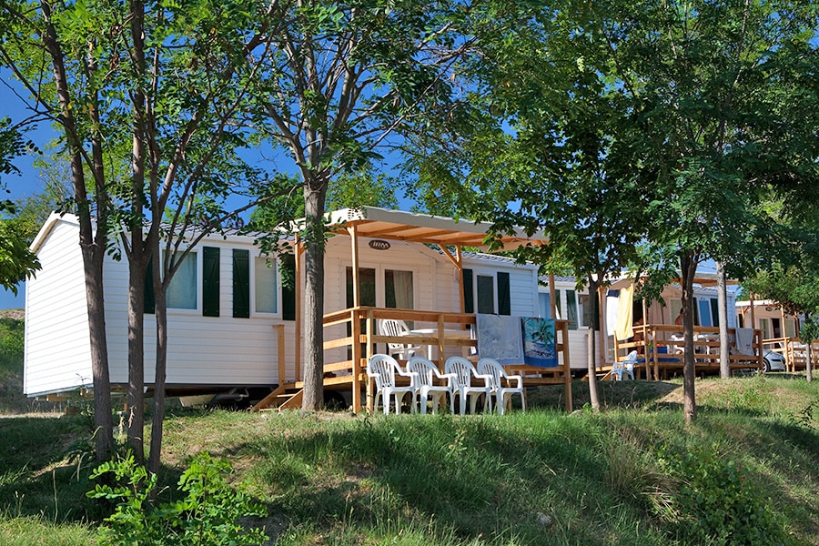 Pausado Ludo Camping