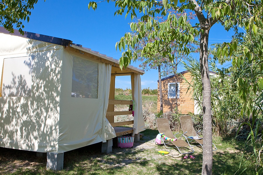 Pausado Ludo Camping