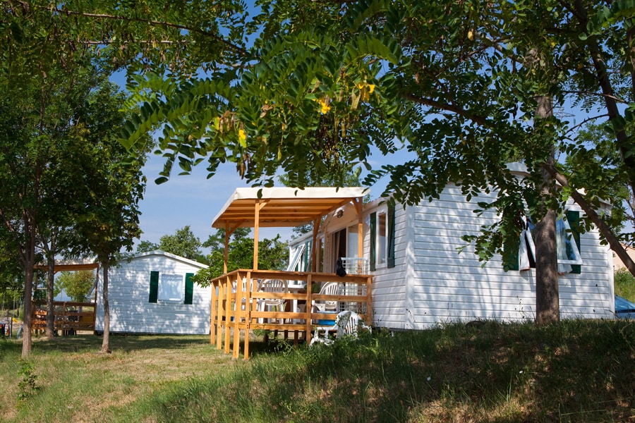 Pausado Ludo Camping