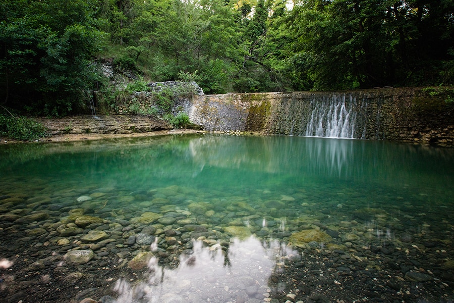 Pausado Ludo Camping