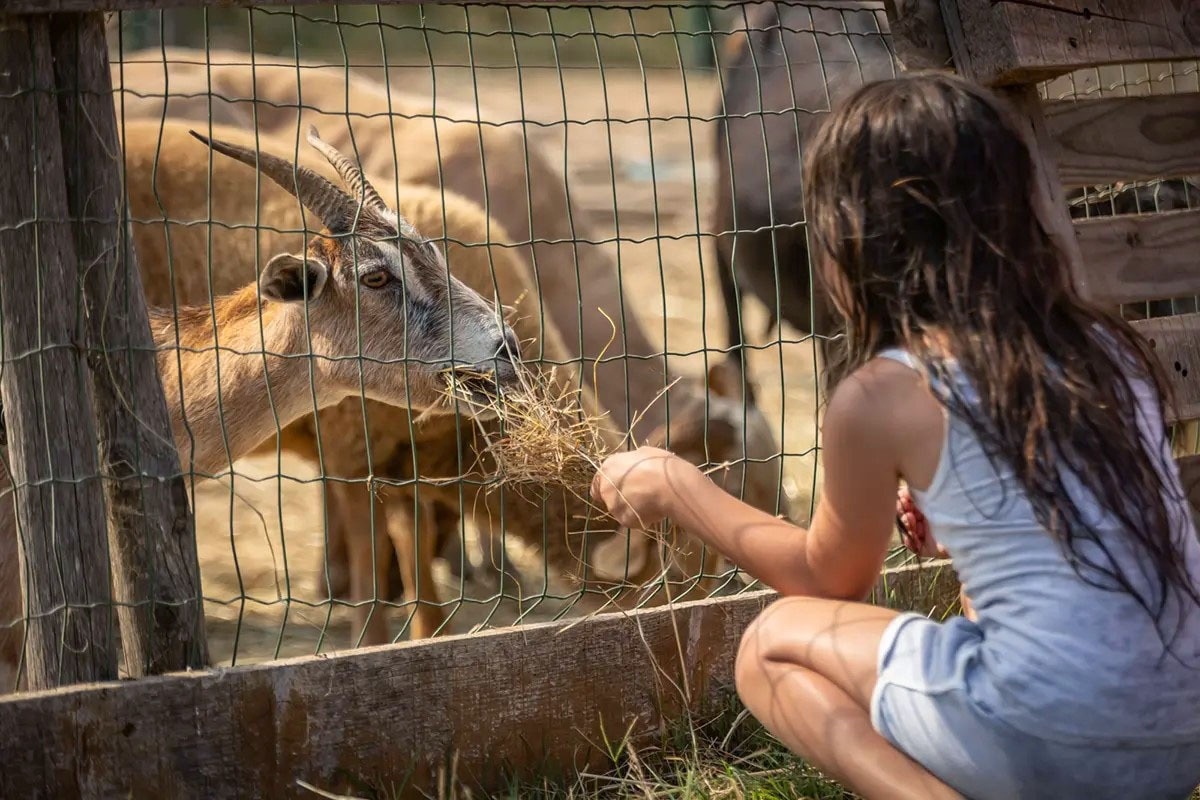Camping Méditerranée Plage
