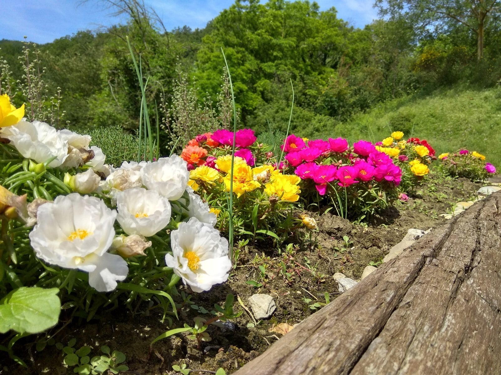 Piccolo Camping E Maieu