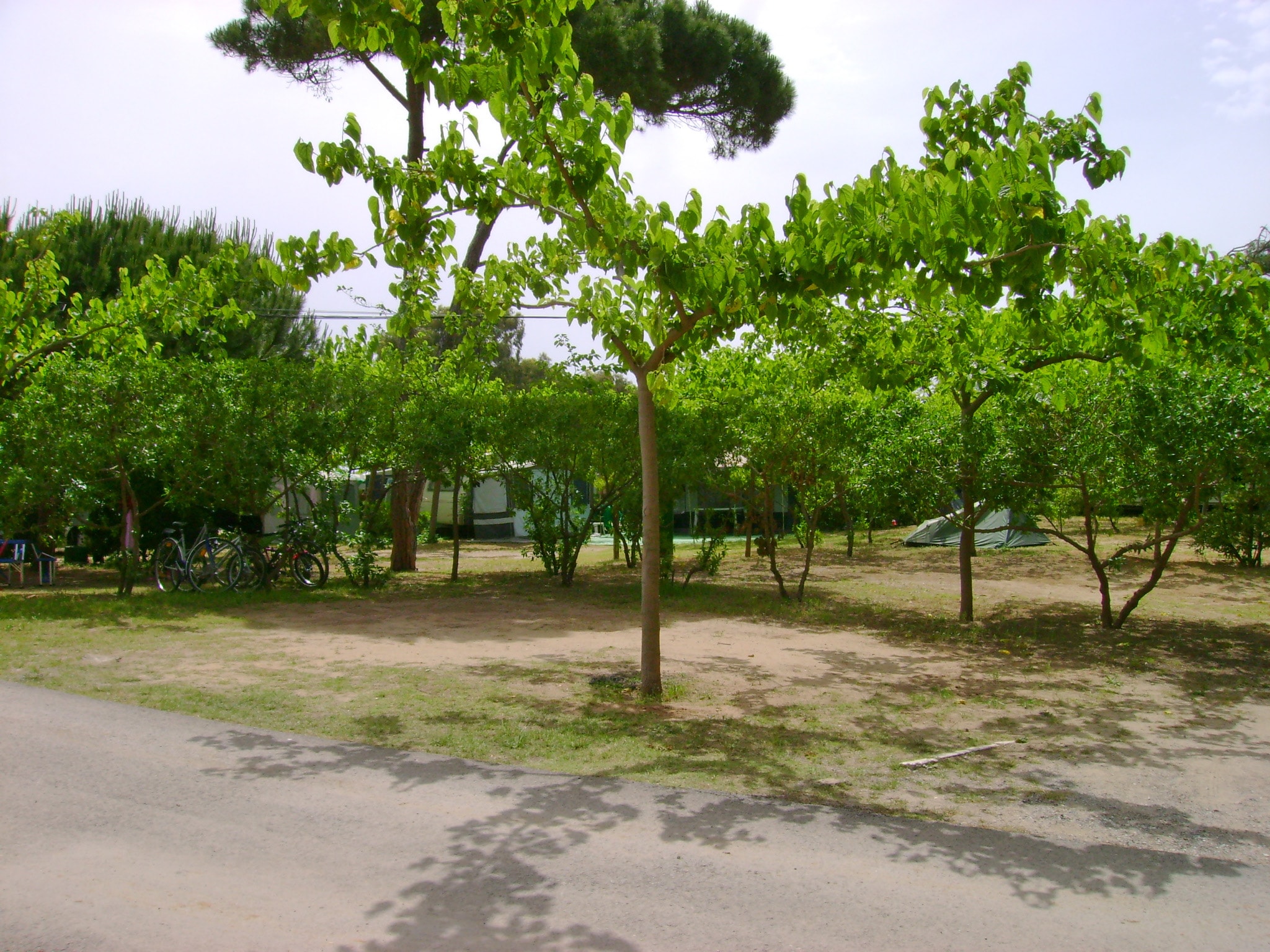 Camping Tres estrellas Barcelona