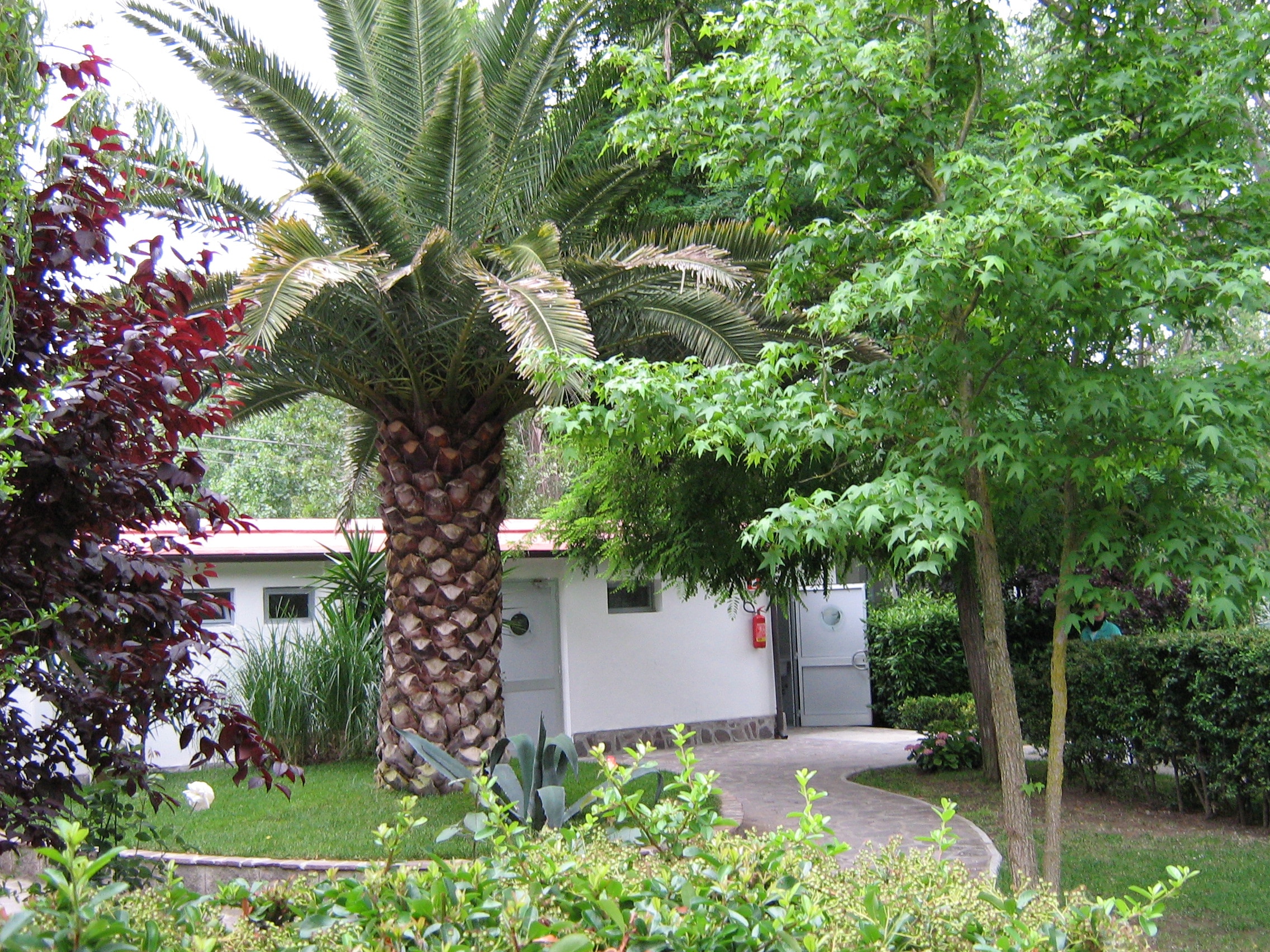 Camping Molino a Fuoco