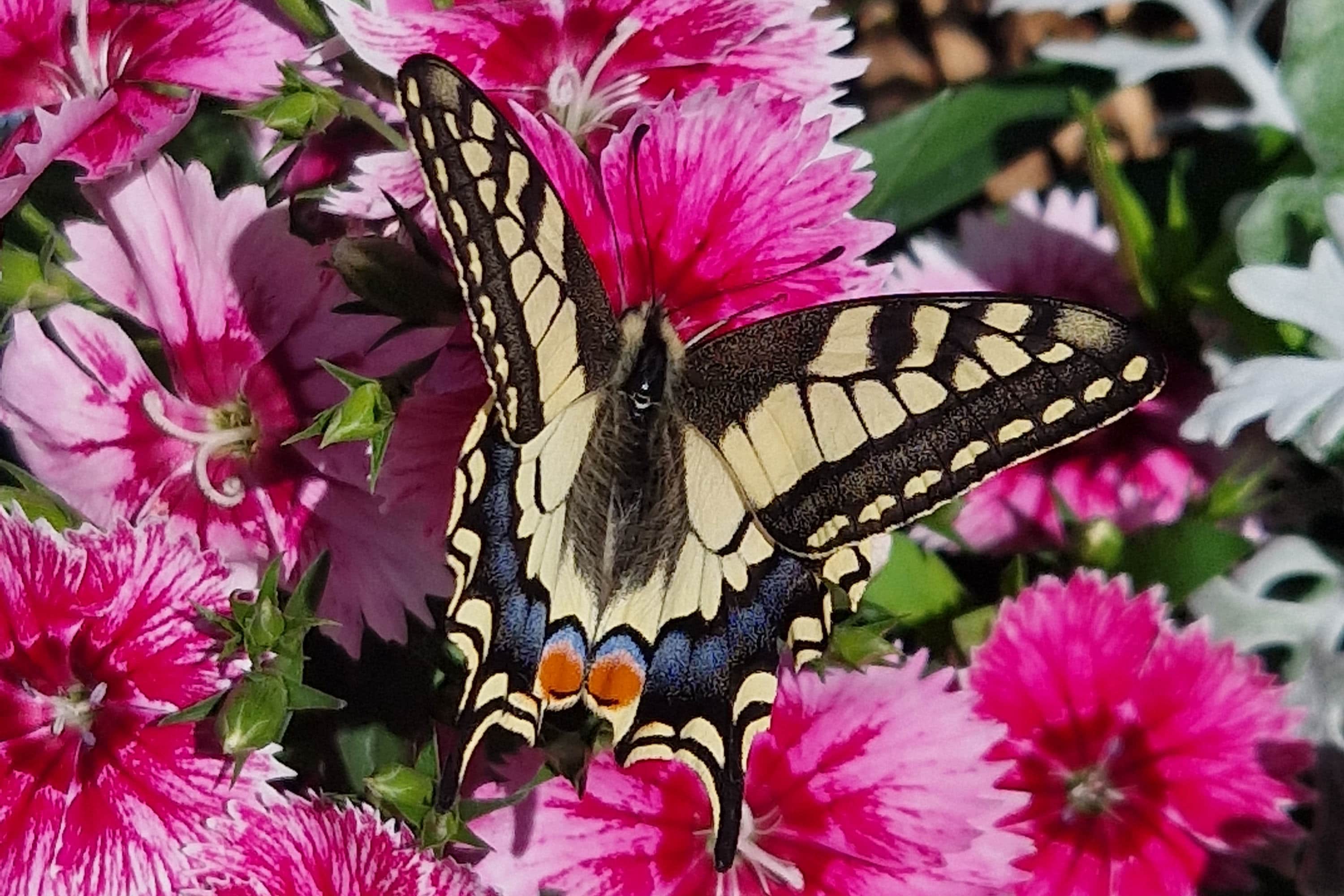 Camping Ruisseau du Treil