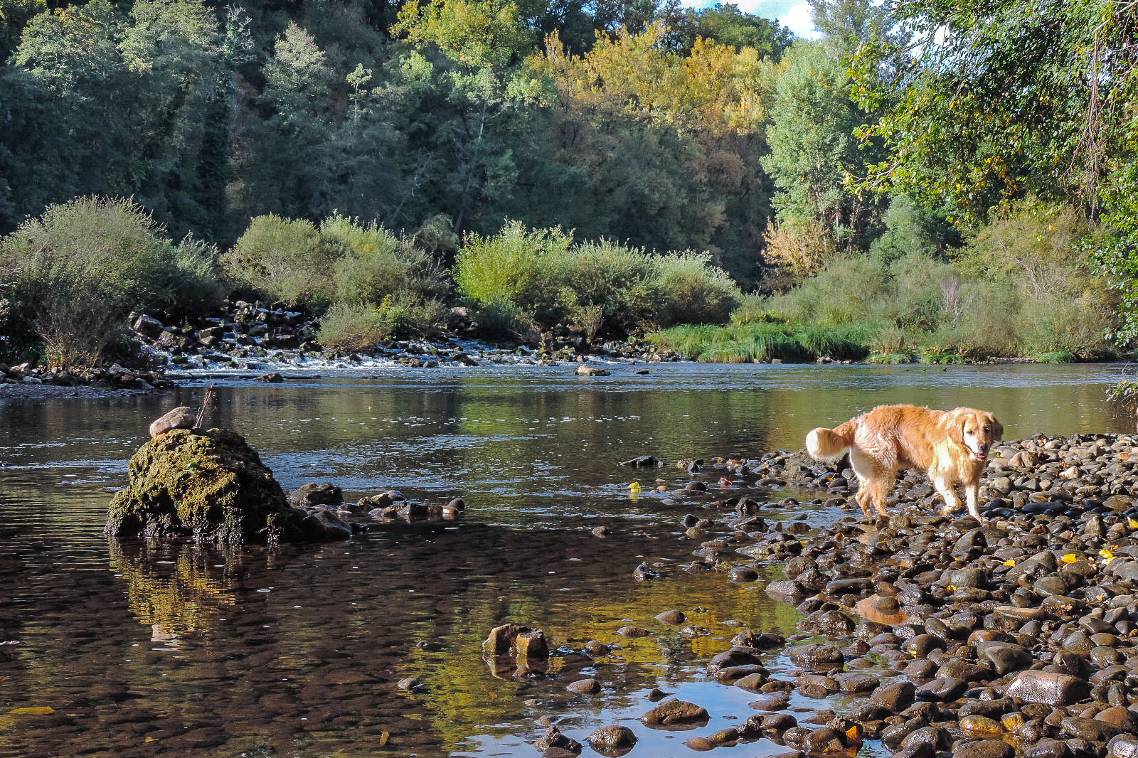 Camping Ruisseau du Treil