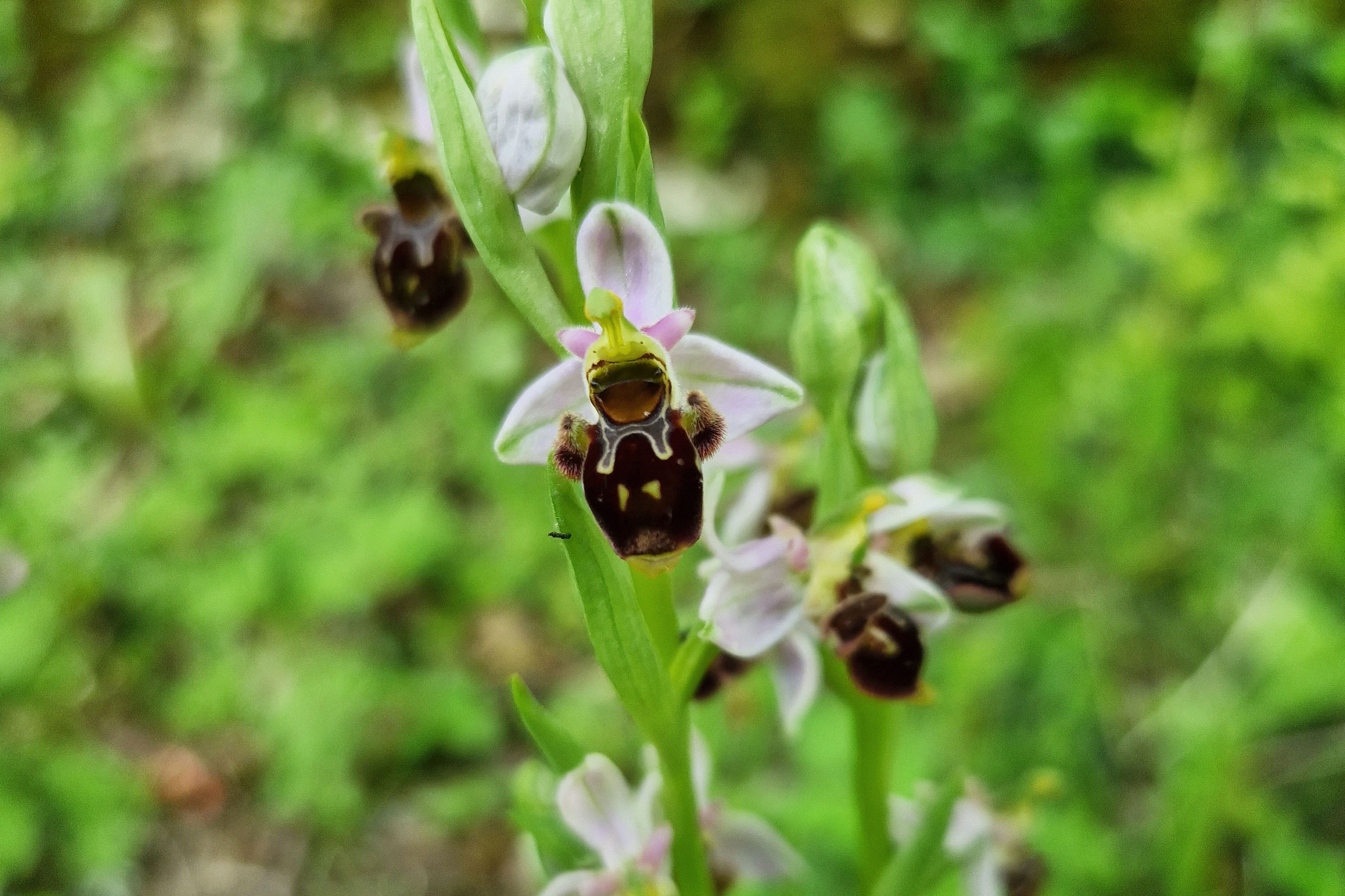 Camping Ruisseau du Treil