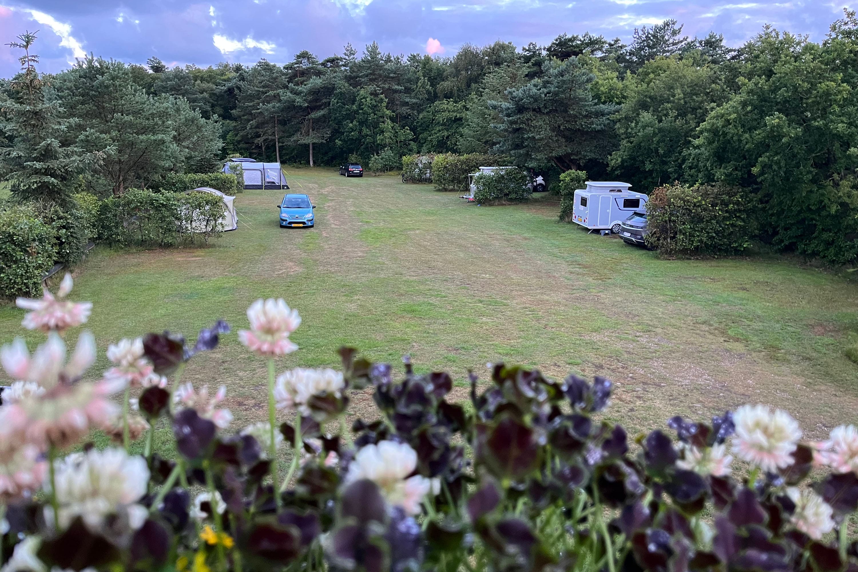 Tipperne Camping