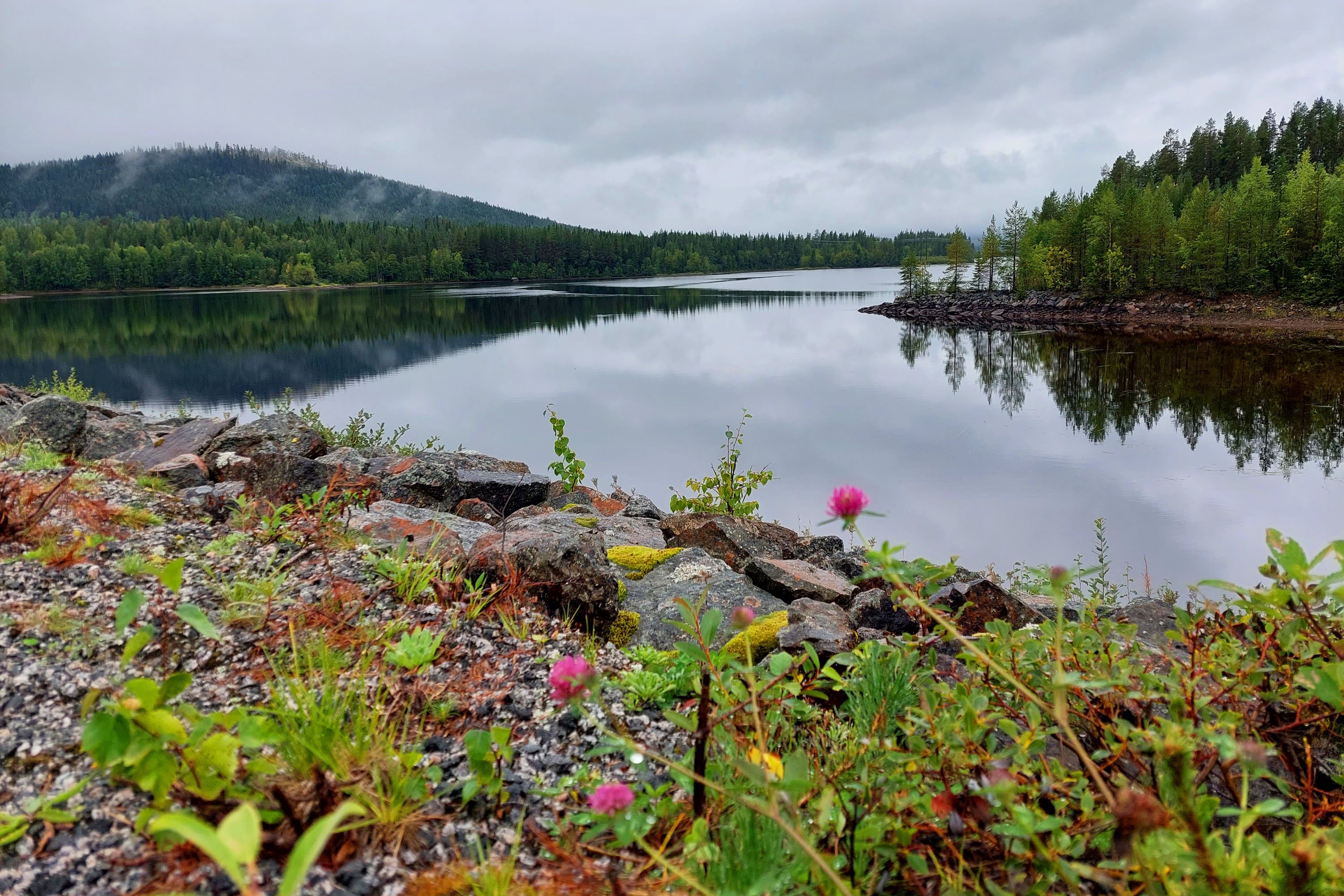 Camping Nederhögen Vildmarkscenter