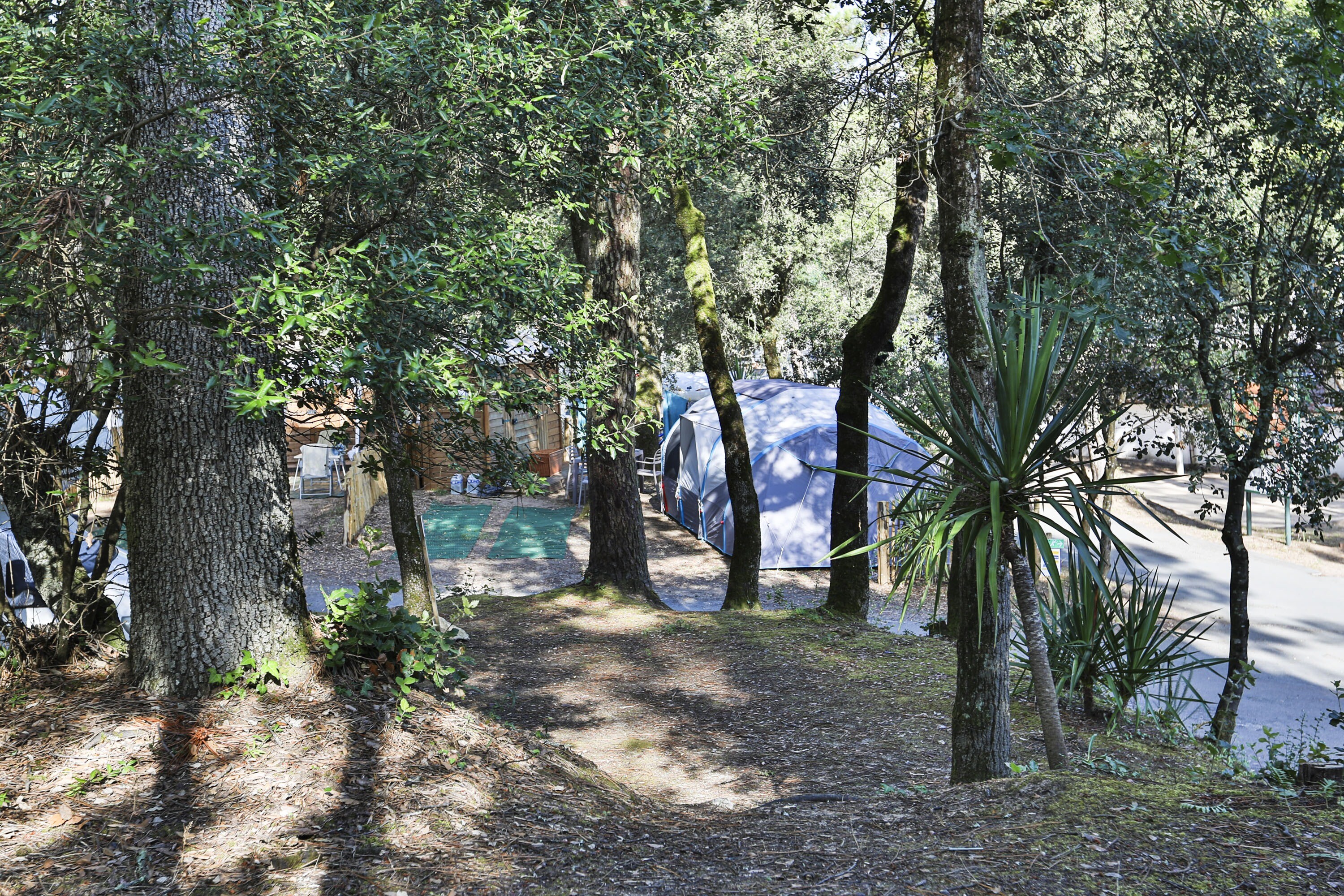 Flower Camping Les Dunes