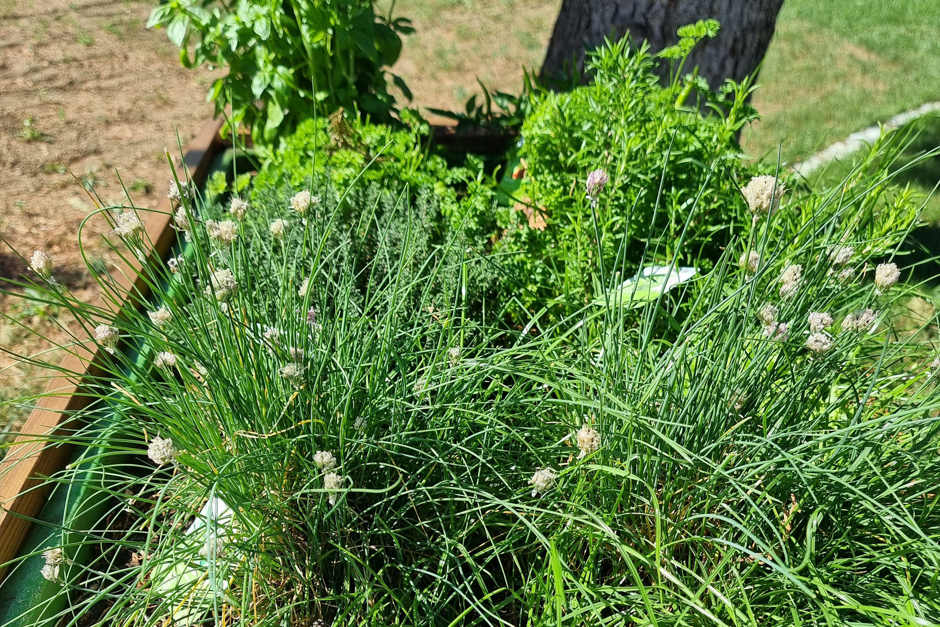 Campingplatz Wetzlar