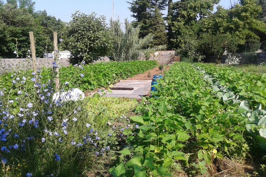 Camping Agrituristico Carso