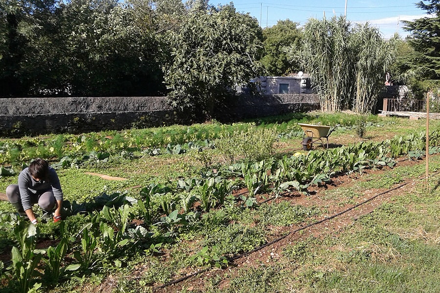 Camping Agrituristico Carso