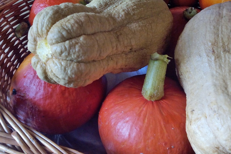 Camping Agrituristico Carso