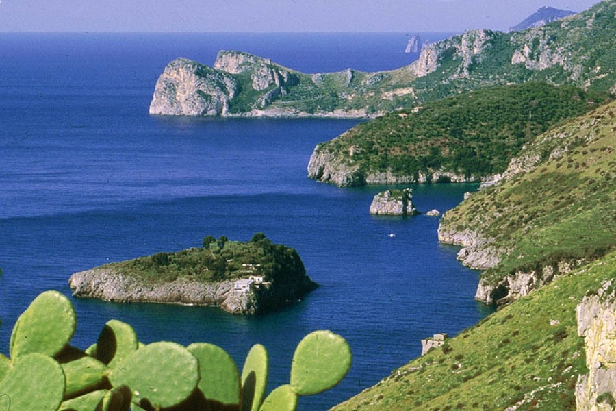 Camping Villaggio Nettuno Srl