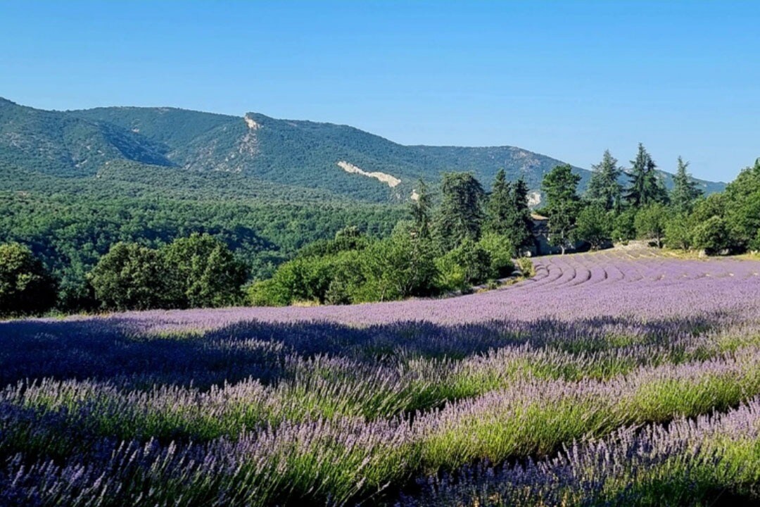 Pausado Camping Le Luberon