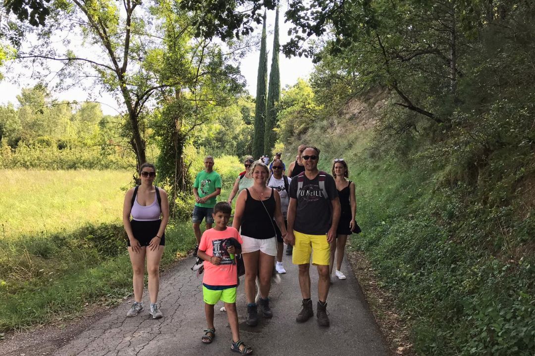 Pausado Ludo Camping