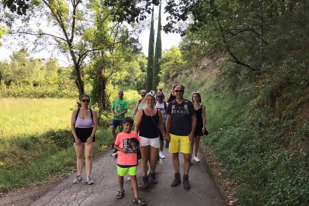 Pausado Ludo Camping