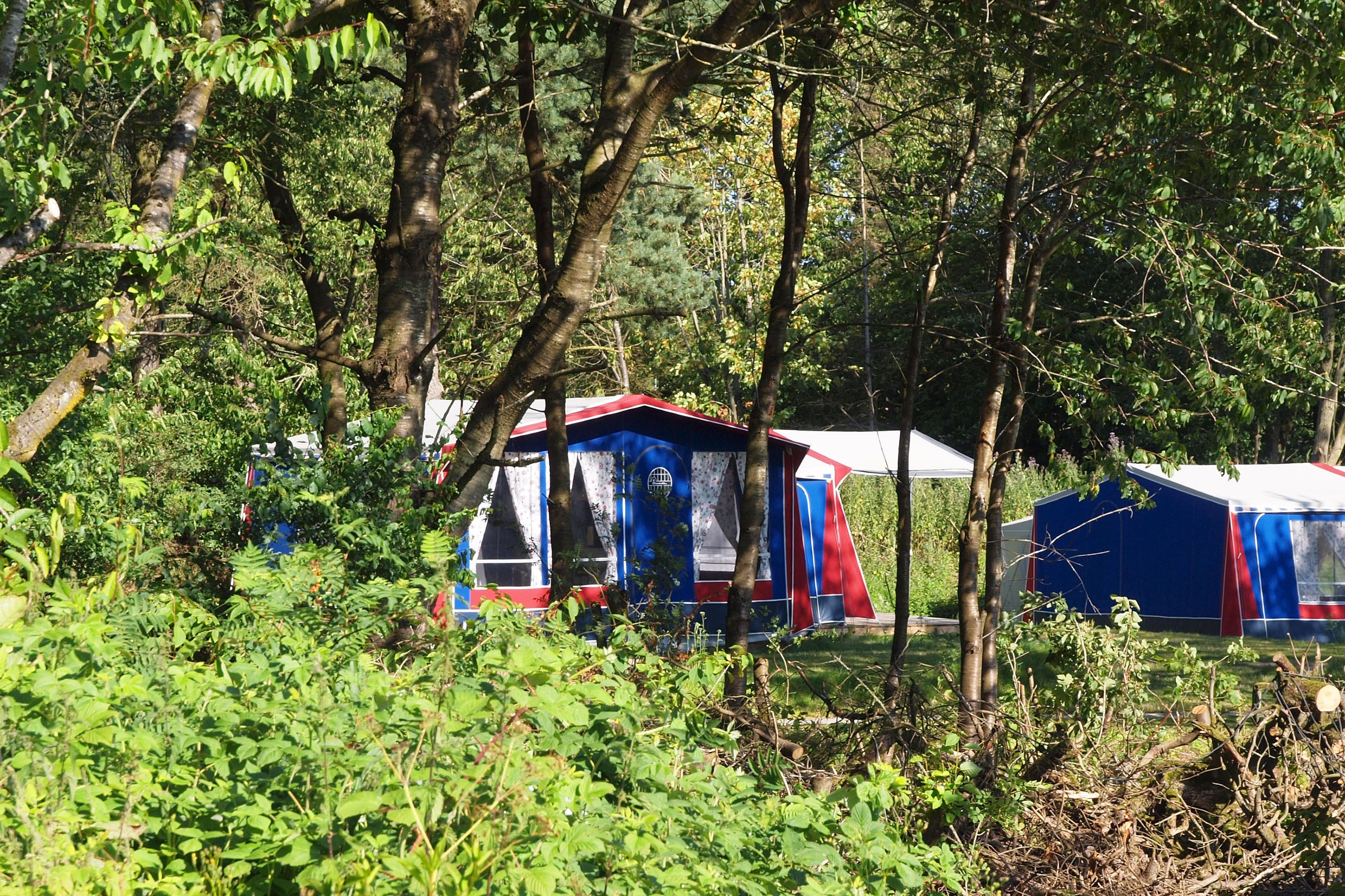 First Camp Aarhus afbeelding 2