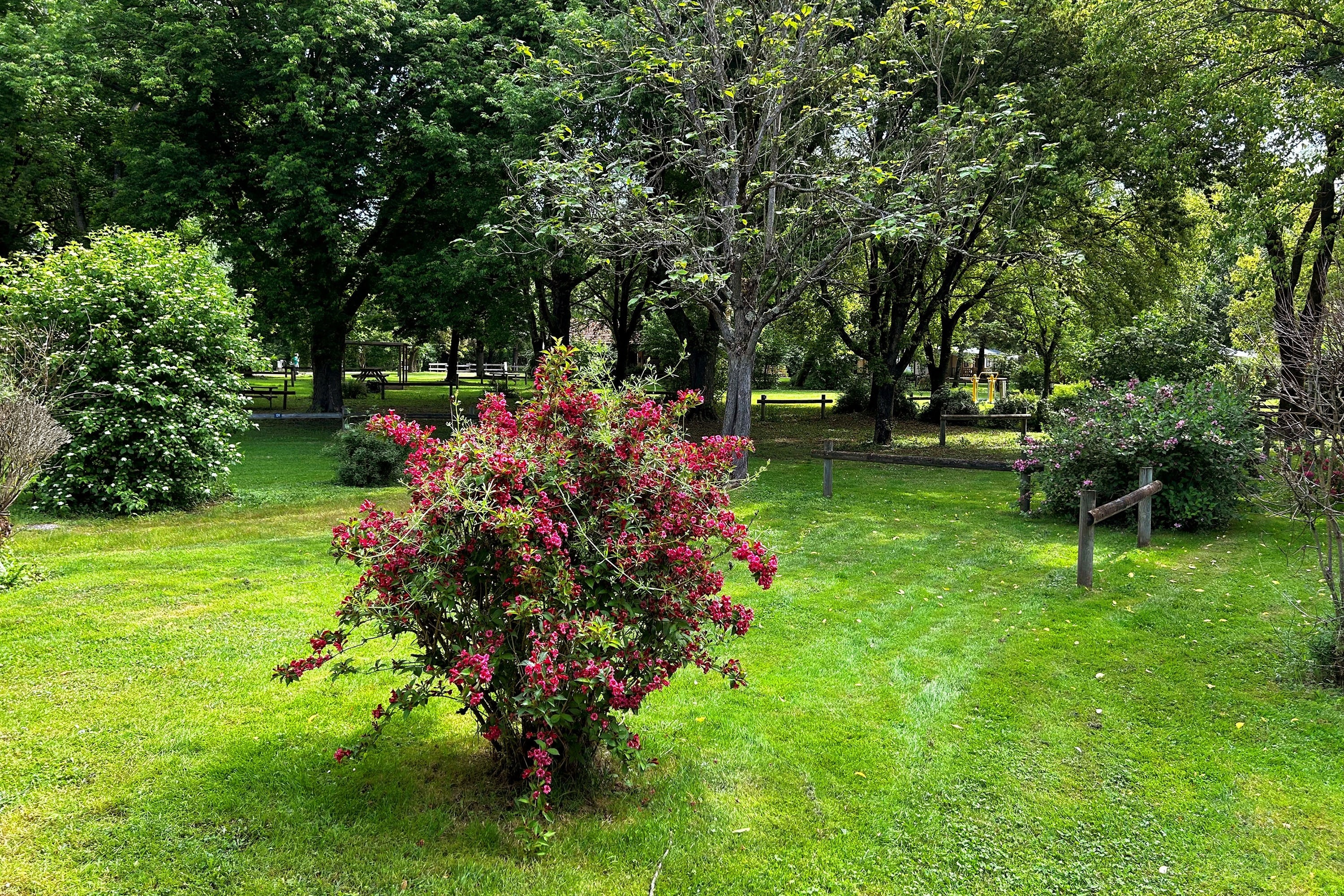 Camping Au Bon Endroit